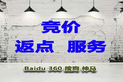 百度竞价优化技巧：实战案例深度剖析